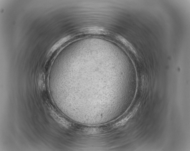 X0000085270970200703161425