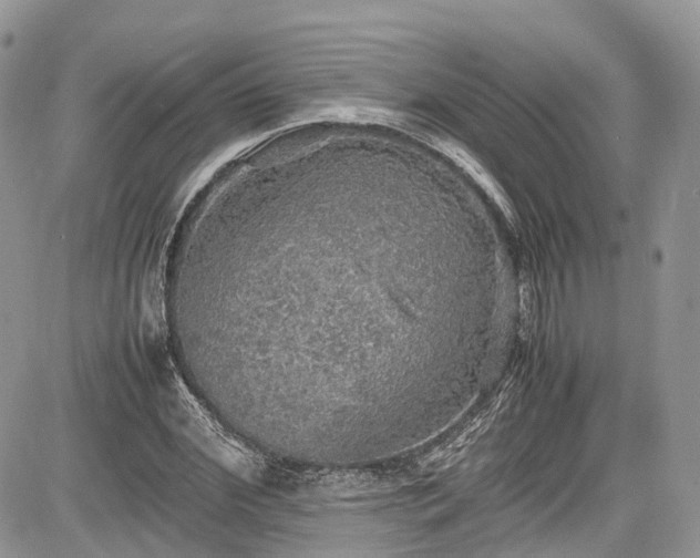 X0000085270972200703161425