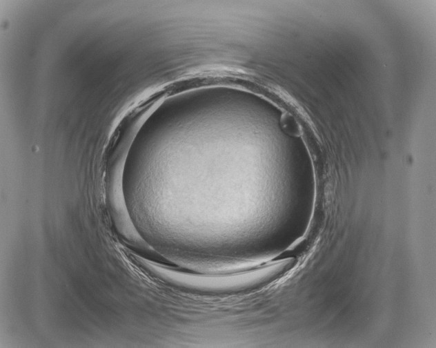 X0000085270973200703161425