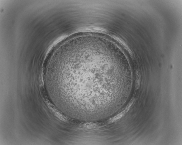 X0000085270974200703161425