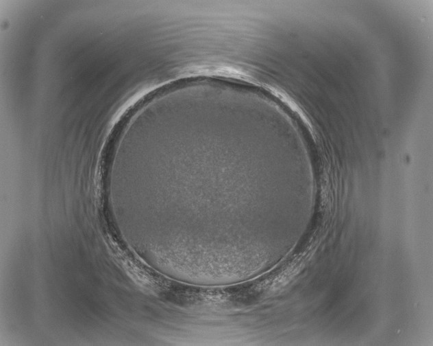 X0000085270975200703161425