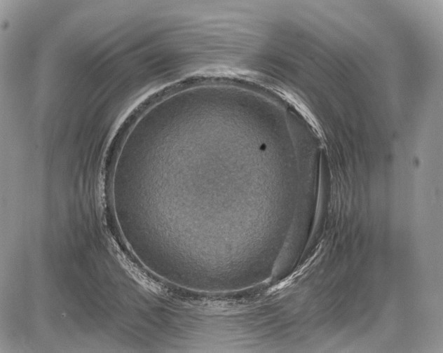 X0000085270976200703161425