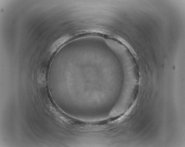 X0000085270977200703161425