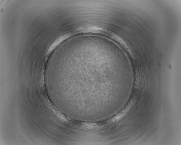 X0000085270978200703161425