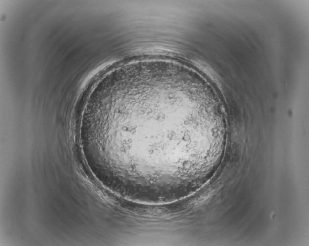 X0000085270979200703161425