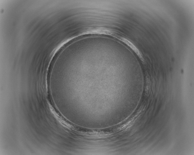 X0000085270980200703161425