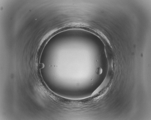 X0000085270981200703161425