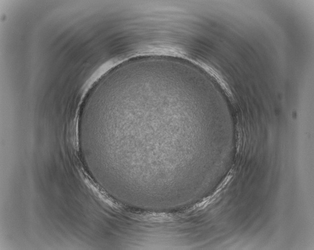 X0000085270982200703161425