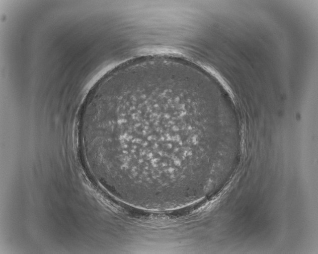 X0000085270983200703161425