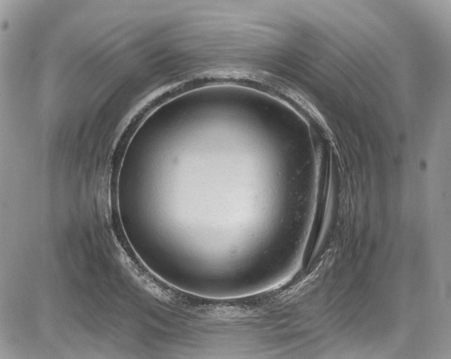 X0000085270984200703161425