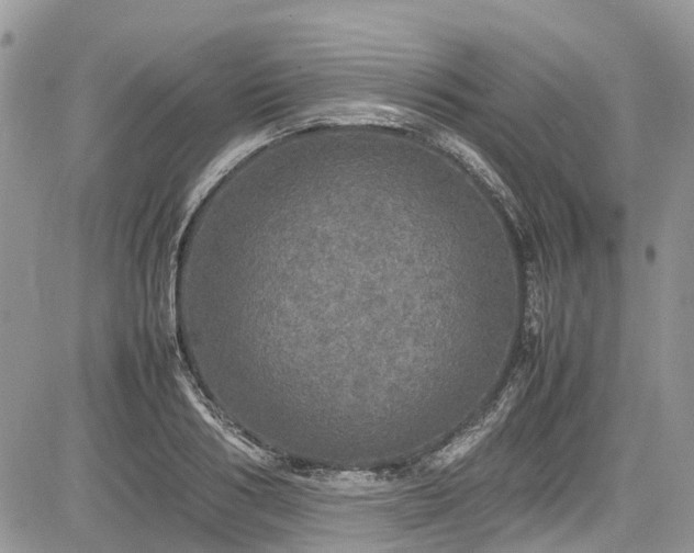 X0000085270986200703161425