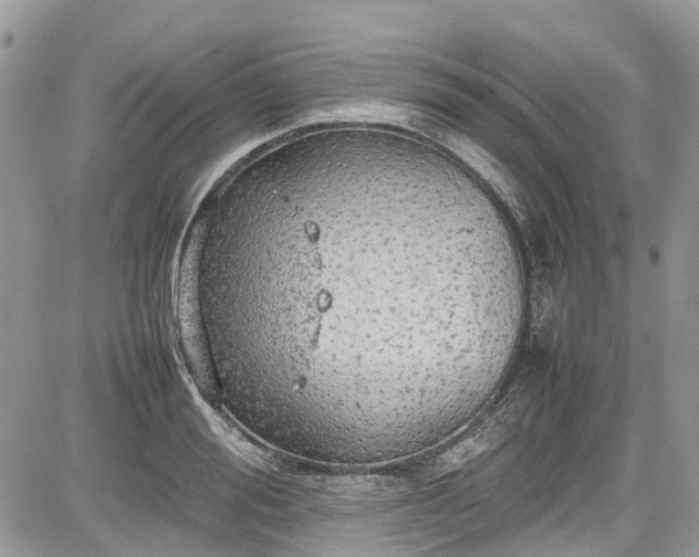 X0000085270988200703161425