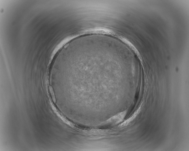 X0000085270989200703161425