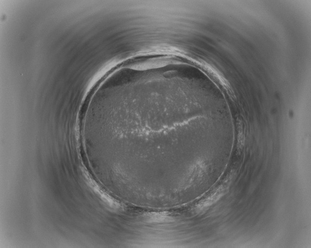 X0000085270990200703161425