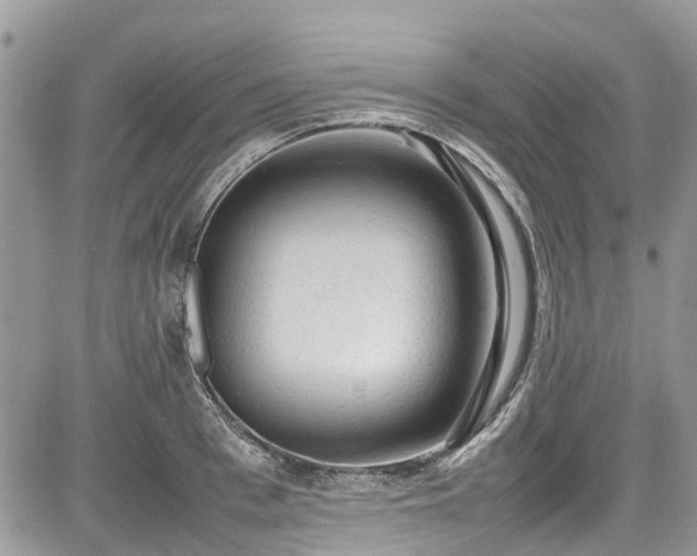 X0000085270993200703161425