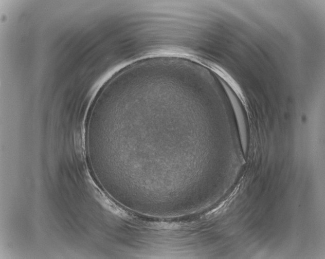 X0000085270996200703161425