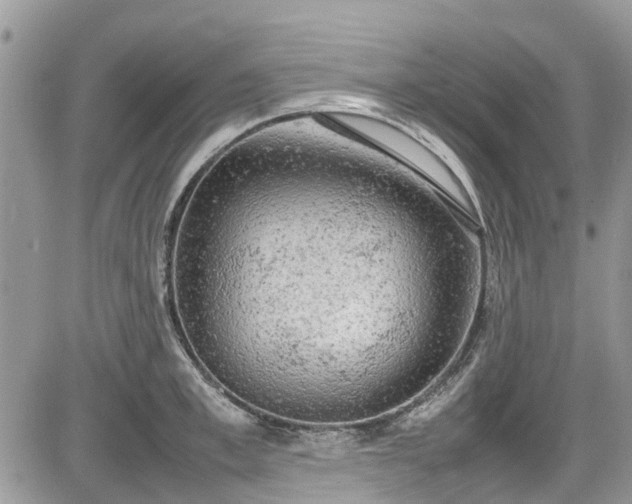 X0000085270997200703161425