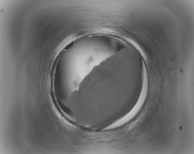 X0000085270999200703161425