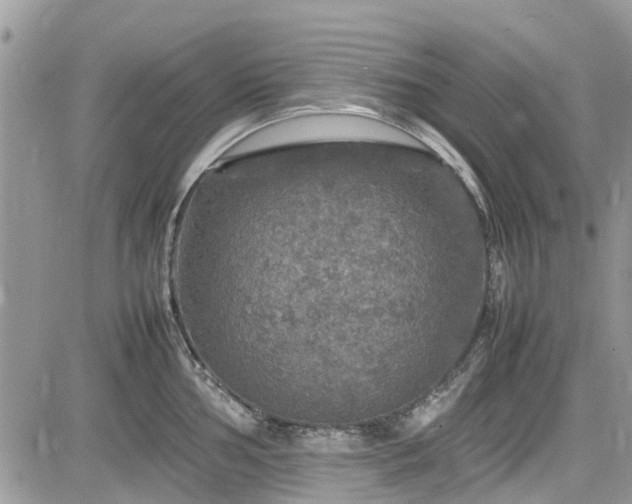 X0000085271002200703161425