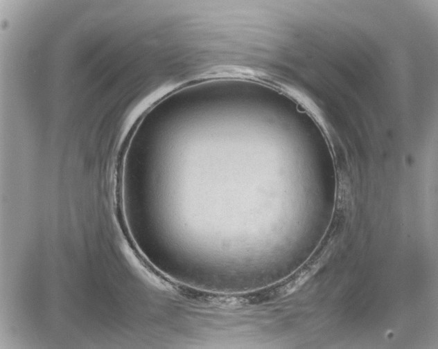 X0000085271003200703161425