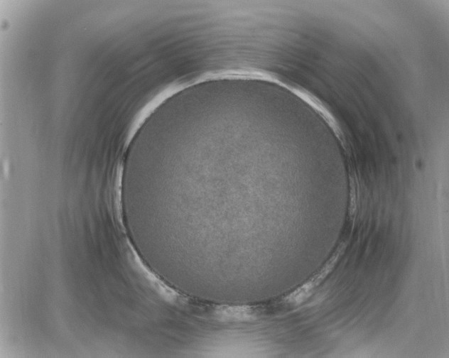 X0000085271006200703161425