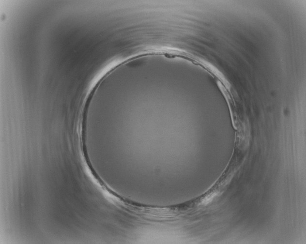 X0000085271007200703161425