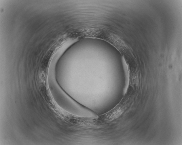 X0000085271010200703161424