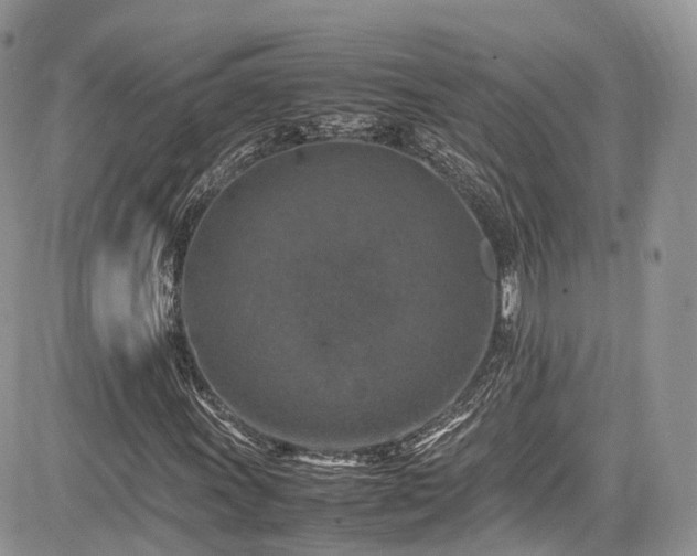 X0000085271011200703161424