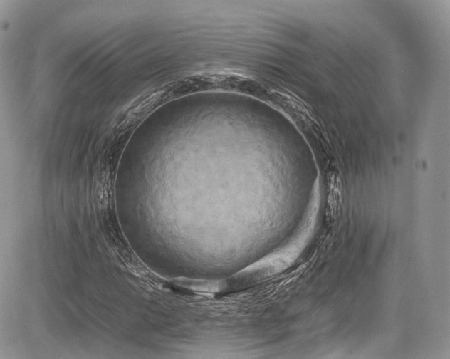 X0000085271014200703161424