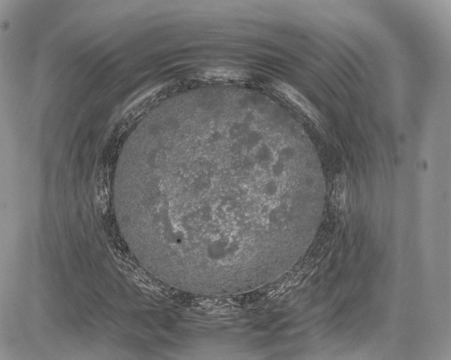 X0000085271015200703161424