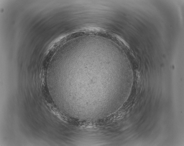 X0000085271016200703161424