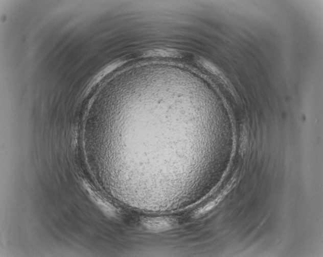 X0000085271017200703161424