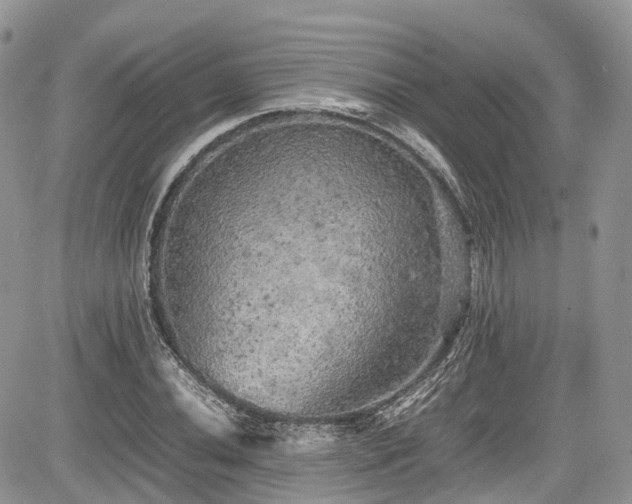 X0000085271020200703161424