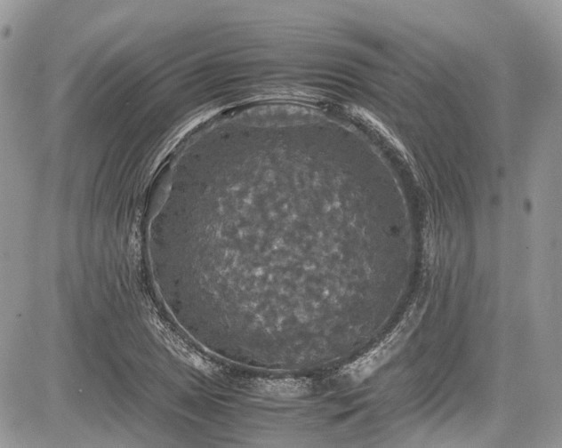 X0000085271025200703161424