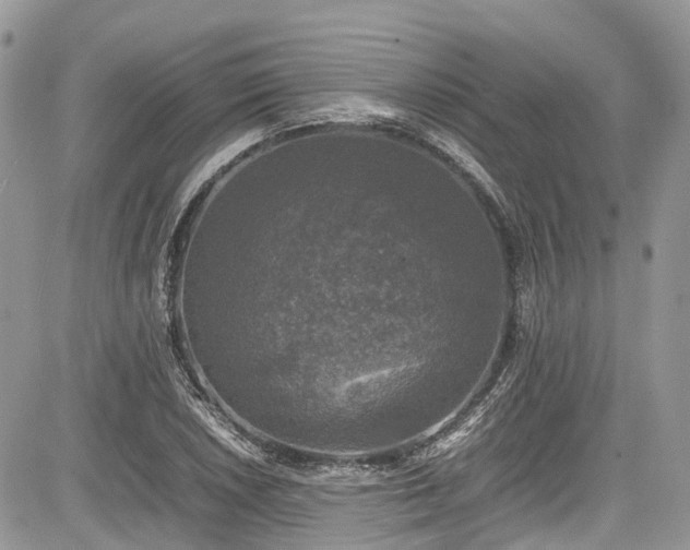 X0000085271026200703161424