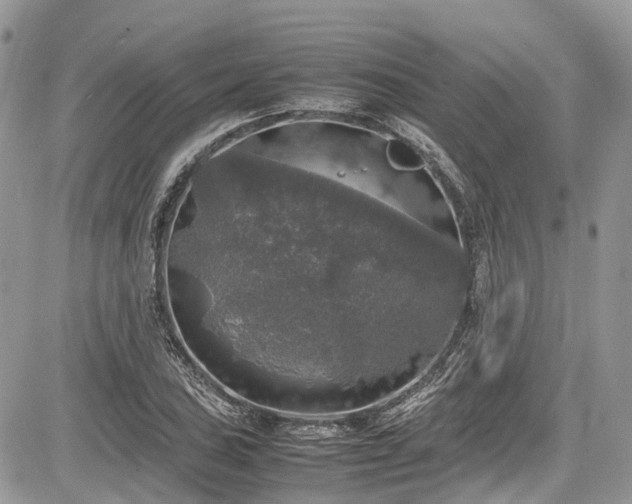 X0000085271027200703161424