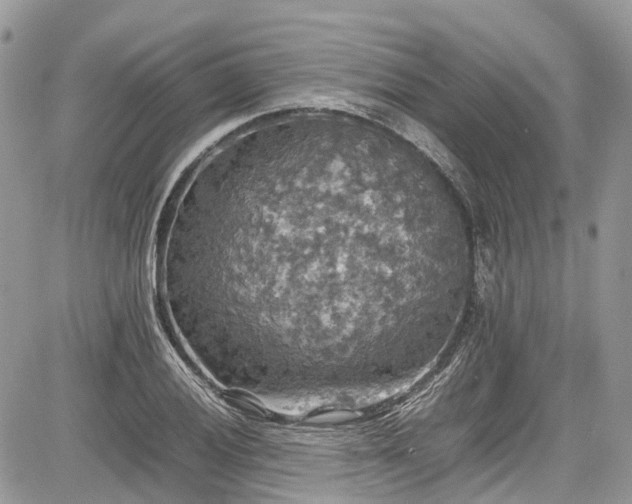 X0000085271028200703161424