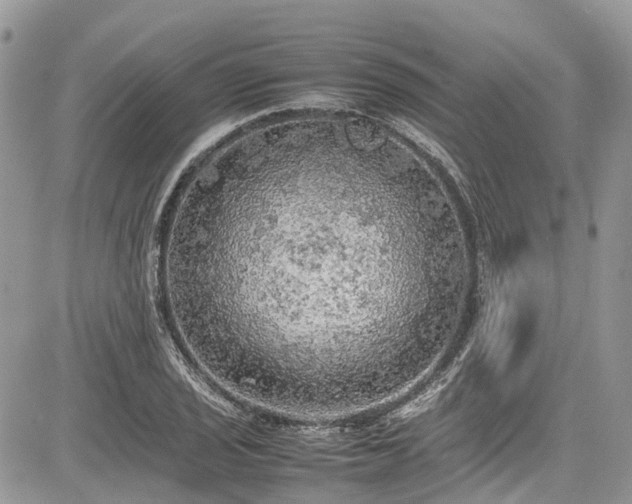 X0000085271029200703161424