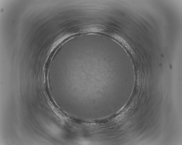 X0000085271031200703161424