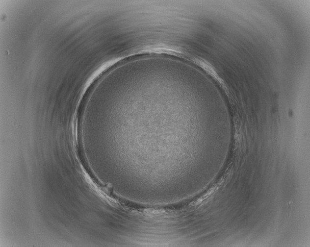 X0000085271032200703161424