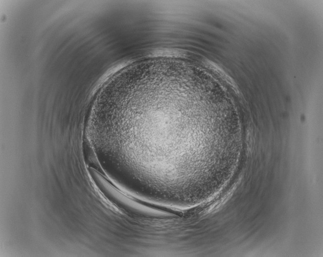 X0000085271033200703161424