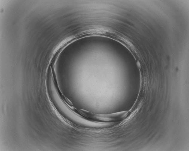 X0000085271034200703161424