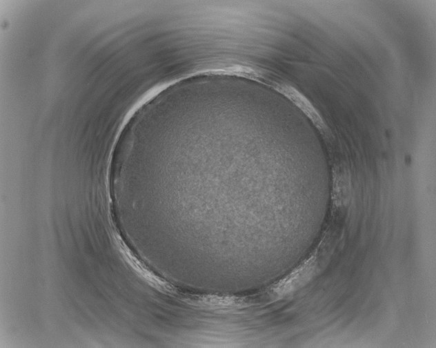 X0000085271036200703161424