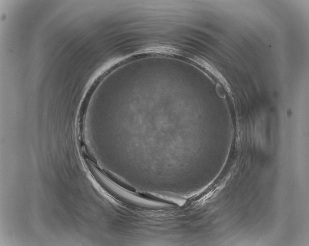 X0000085271037200703161424