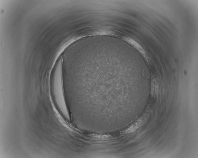 X0000085271039200703161424