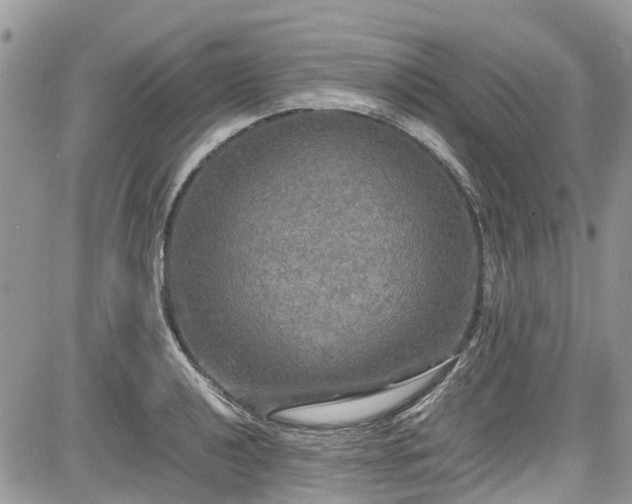 X0000085271040200703161424