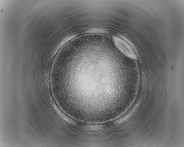 X0000085271041200703161424