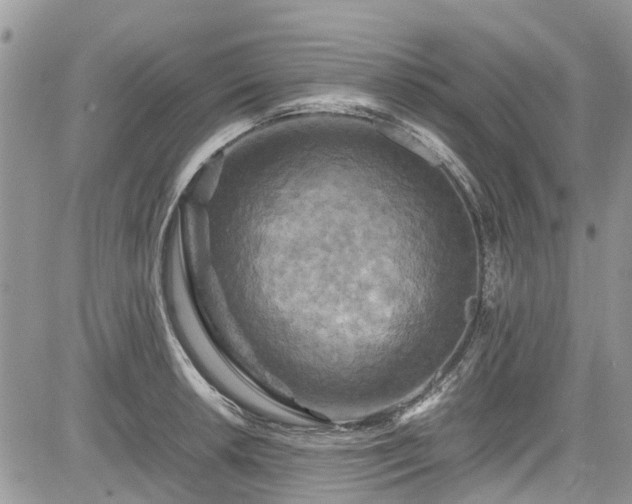 X0000085271042200703161424