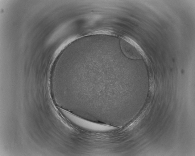 X0000085271043200703161424