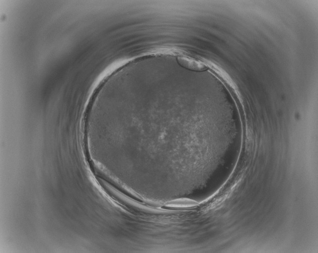 X0000085271045200703161425